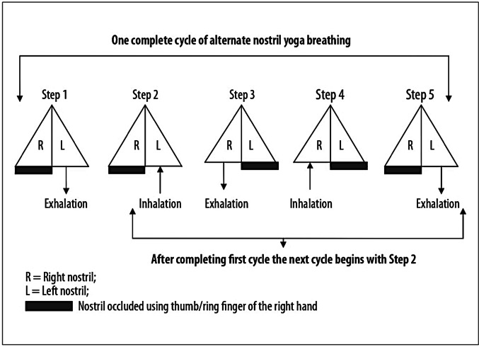 Exploring the Immediate Effects of Nadi Shuddhi Pranayama on Heart Rate Variability Among Young Adults