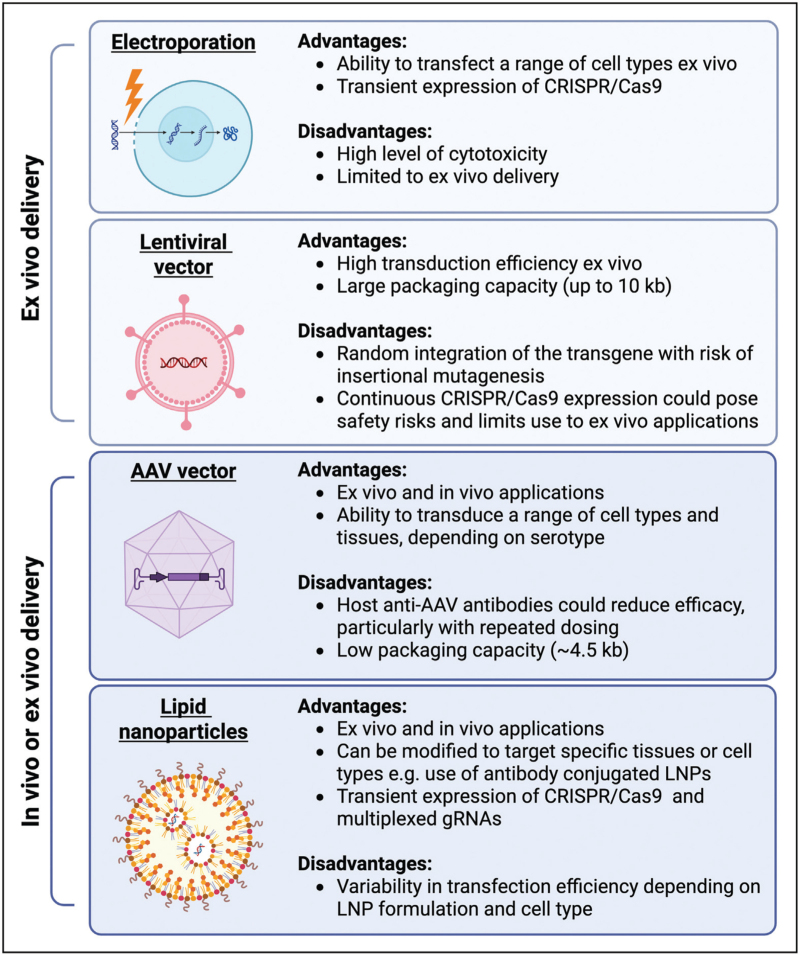 CRISPR/Cas9 for achieving postintervention HIV control.