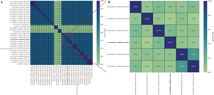 Genomic insights into Streptomyces albidoflavus SM254: tracing the putative signs of anti-Pseudogymnoascus destructans properties.