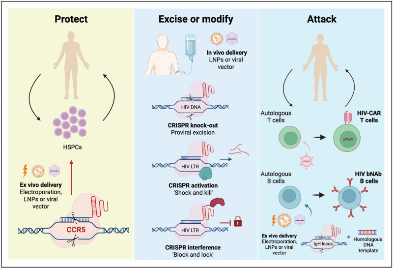 CRISPR/Cas9 for achieving postintervention HIV control.