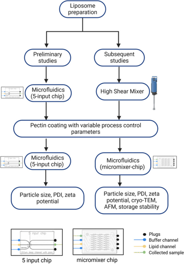 Microfluidic fabrication of pectin-coated liposomes for drug delivery.