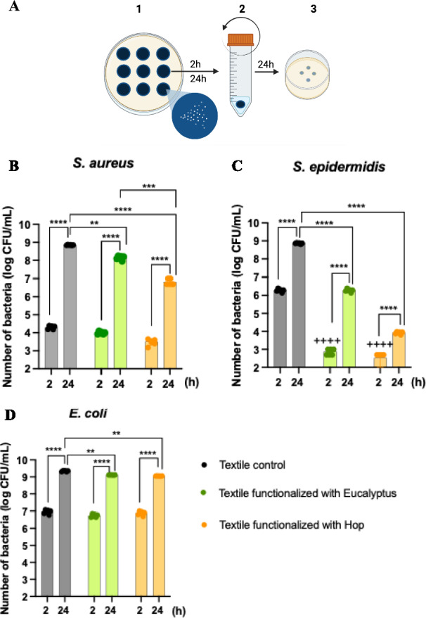 Boosting textiles with plant extracts: an advanced sustainable antimicrobial innovation for direct skin applications.
