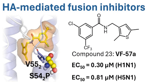 N-[(Thiophen-3-yl)methyl]benzamides as Fusion Inhibitors of Influenza Virus Targeting H1 and H5 Hemagglutinins