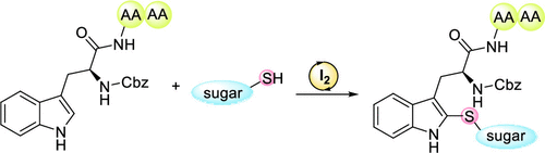 Iodine-Catalyzed Thioglycosylation of Indole and Tryptophan-Containing Peptides with Thioglycosides