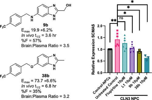 Discovery of Functionalized 1H-Benzo[d]imidazoles That Confer Protective Effects in a Phenotypic CLN3 Disease Patient-Derived iPSC Model