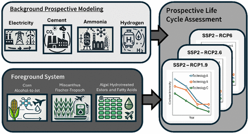 Prospective Life Cycle Assessment of Sustainable Aviation Fuel Systems