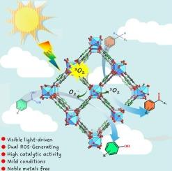 Visible-light-driven aerobic oxidation via a dual ROS-generating manganese(II)-organic framework photocatalyst