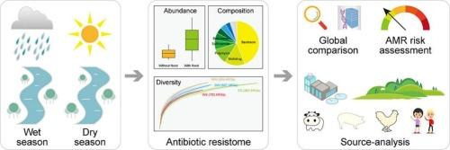 The increase in wastewater-sourced resistome elevated the prevalence and risk of riverine antibiotic resistance in wet season
