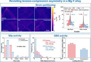 Revisiting tension-compression asymmetry in a Mg alloy: insights from statistical strain partitioning and intra-/inter-granular mechanisms at the nanoscale