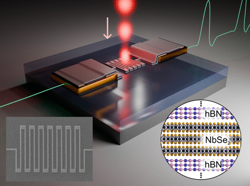 Toward Single-Photon Detection with Superconducting Niobium Diselenide Nanowires