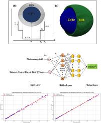 Machine learning prediction of electric field-dependent absorption coefficient in CdTe/CdS quantum dots