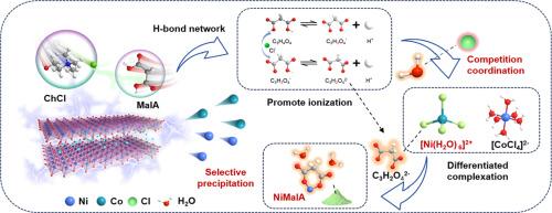 Precise Ni/Co separation from spent Li-Ion batteries: Revealing the pivotal role of H2O in deep eutectic solvents