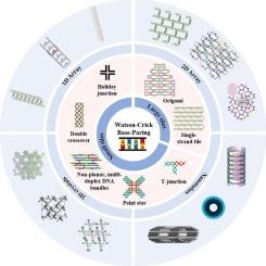 Design principles for construction of DNA-based nanostructures