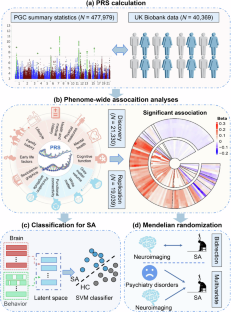 A phenome-wide association and Mendelian randomization study for suicide attempt within UK Biobank