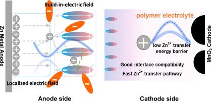 Piezoelectric gradient electrolytes for environmentally adaptive and stable zinc batteries