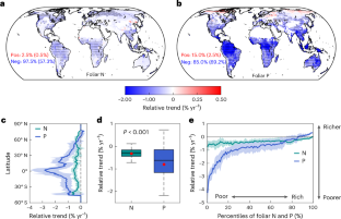 Phosphorus constrains global photosynthesis more than nitrogen does