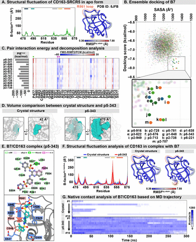 Correction to “Mechanistic Insights into PRRSV Inhibition through CD163–SRCR5 Blockade by PRRSV/CD163-IN-1”