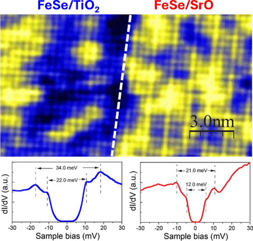 Unraveling Enhanced Superconductivity in Single-Layer FeSe through Substrate Surface Terminations