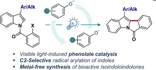Photoinduced Phenolate Organocatalysis for Isoindoloindolone Synthesis with N-Iodobenzoyl Indoles