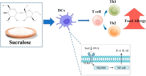 Dietary Sucralose Exacerbates Ovalbumin-Induced Food Allergy via Dendritic Cells Modulation: In Vitro and In Vivo Studies