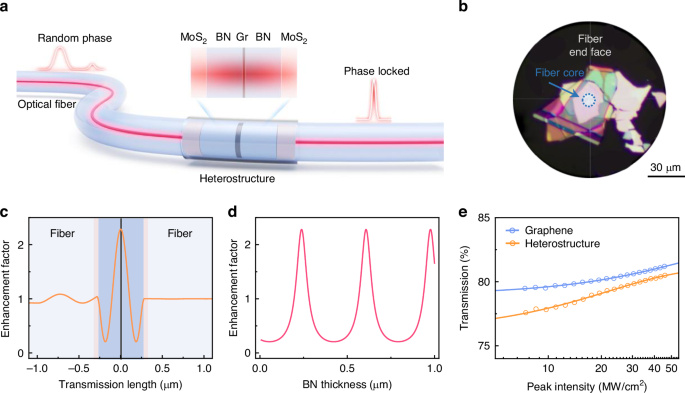 Robust mode-locking in all-fiber ultrafast laser by nanocavity of two-dimensional heterostructure