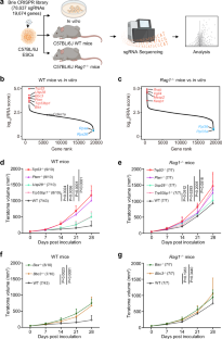 Targeting necrotic lipid release in tumors enhances immunosurveillance and cancer immunotherapy of glioblastoma