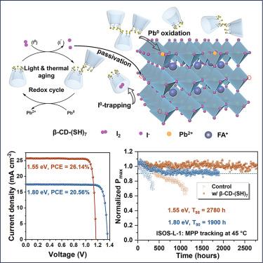 Synergistic iodine and lead chelation with redox cycling via supramolecular engineering for stable and sustainable perovskite solar cells