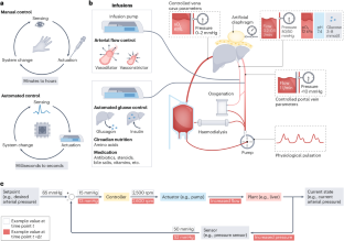 Beyond preservation: future machine perfusion for liver assessment and repair