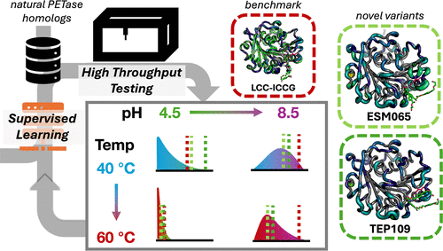 Machine Learning-Guided Identification of PET Hydrolases from Natural Diversity