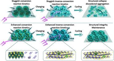 Revealing anion-evolution mediated superior bidirectional kinetics in Se-doped CuS1-xSex: a highly reversible conversion-type anode for zinc-ion battery