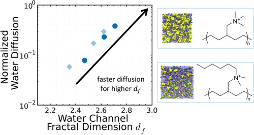 Investigating Morphology and Diffusion in Simulations of Precise Anion-Conducting Polymers