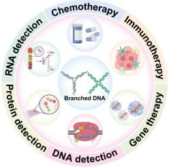 Branched DNA for disease diagnosis and therapy