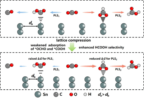 Understanding the Affinity Effect of C/O-Correlative Intermediates for the Selective Electrosynthesis of HCOOH