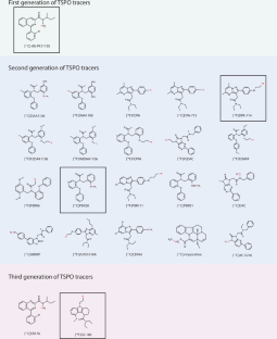 Association between FDG- and TSPO-PET signals across human and animal studies investigating neurodegenerative conditions: a systematic review