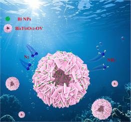 Synergistic engineering of oxygen vacancies and Schottky junctions for enhanced solar-driven nitrogen fixation on hierarchical hollow Bi4Ti3O12