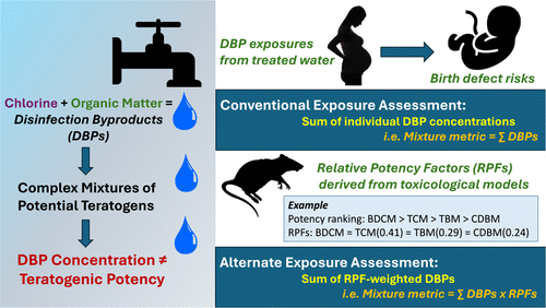 Application of Toxicologically Informed Relative Potency Factors to Examine Associations between Water Disinfection Byproducts and Birth Defects