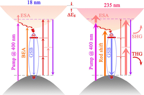Mechanisms of Thickness-Dependent Nonlinear Optical Processes and Ultrafast Dynamics in NbOCl2