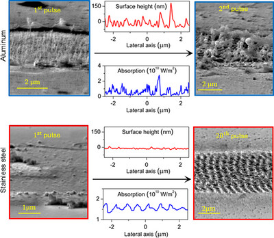 Single-Pulse Nanomorphology Governs Laser-Induced Periodic Surface Structure Formation on Metals