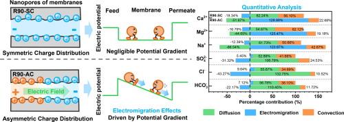Ion Transport Mechanisms in Janus Nanofiltration Membranes with Asymmetric Charge Distribution: Quantitative Analysis of Electromigration Effects Driven by Charge Gradients