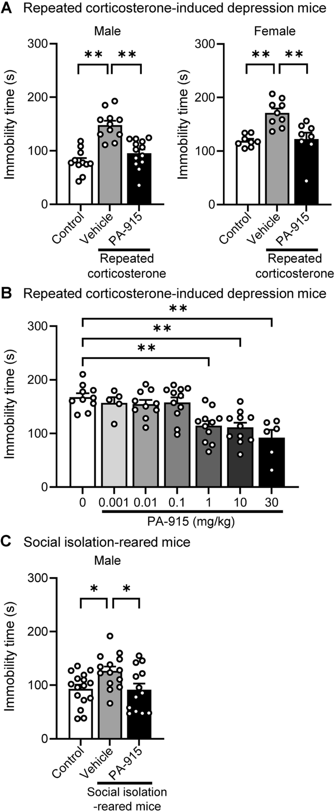 Rapid and long-lasting antidepressant-like effects of the pituitary adenylate cyclase-activating polypeptide receptor antagonist PA-915 in chronic stress mouse models
