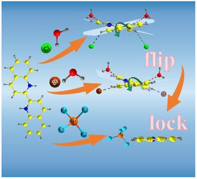 Enhancing Birefringence via a Planar-Conformation-Locking Strategy