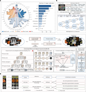 A generalist foundation model and database for open-world medical image segmentation
