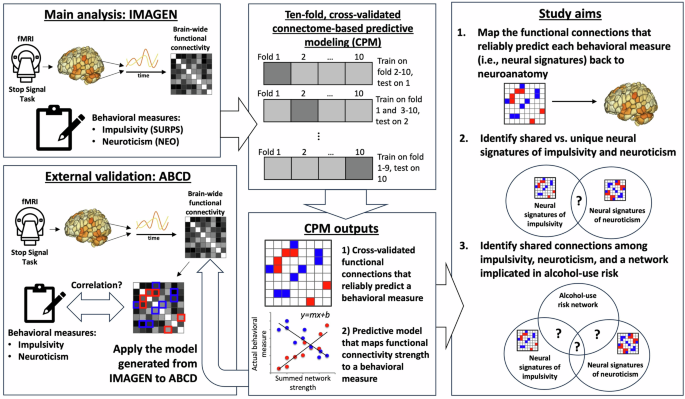 Impulsivity and neuroticism share distinct functional connectivity signatures with alcohol-use risk in youth