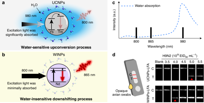 Water-insensitive down-shifting nanoparticles for sensitive biosensing