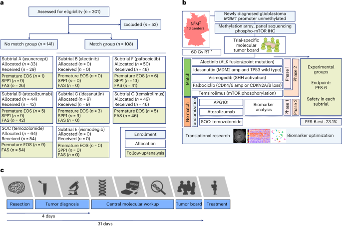 Molecularly matched targeted therapies plus radiotherapy in glioblastoma: the phase 1/2a N2M2 umbrella trial