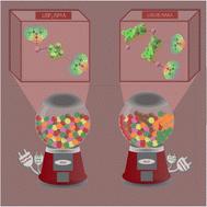 Molecular-level heterogeneity in deep eutectic electrolytes