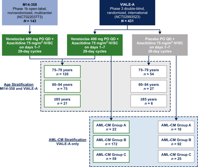 Outcomes of patients treated with venetoclax plus azacitidine versus azacitidine alone stratified by advanced age and acute myeloid leukemia composite model