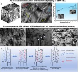 Nanotwin-assisted dynamic recrystallization achieves high strength and ductility in nanocrystalline CrMnFeCoNi high entropy alloy