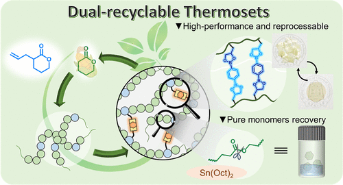 Mechanically Robust Polyvalerolactone Thermosets with Dual Recyclability