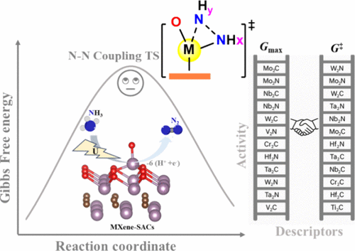 Single-Atom Centers of MXenes for Electrochemical Ammonia Oxidation: Moving Beyond Thermodynamic Descriptors